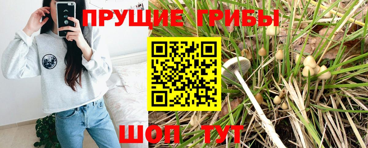 Псилоцибиновые грибы Magic Shrooms Кинель