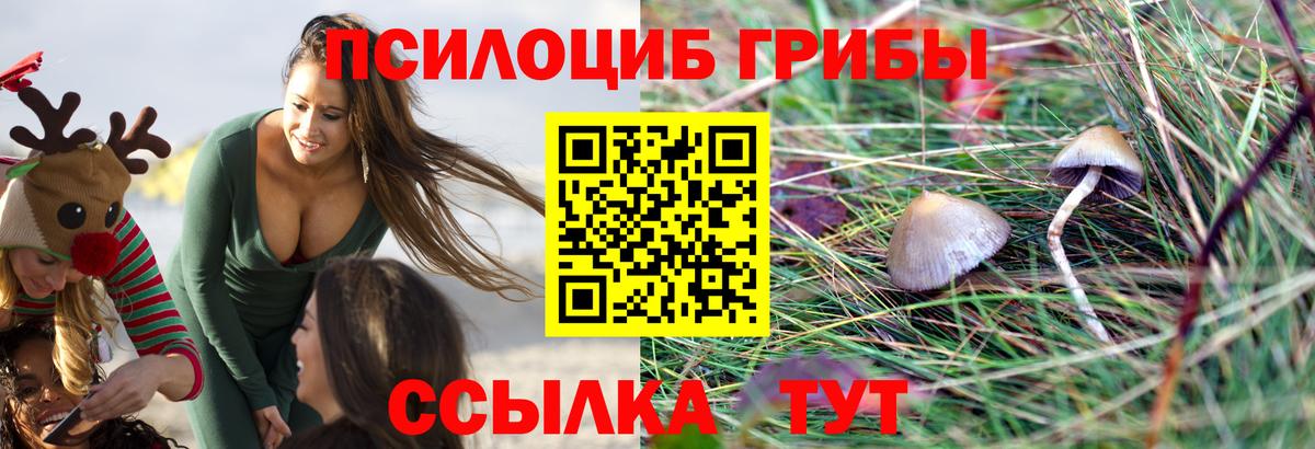 Псилоцибиновые грибы прущие грибы  Вход с VPN  Кинель 